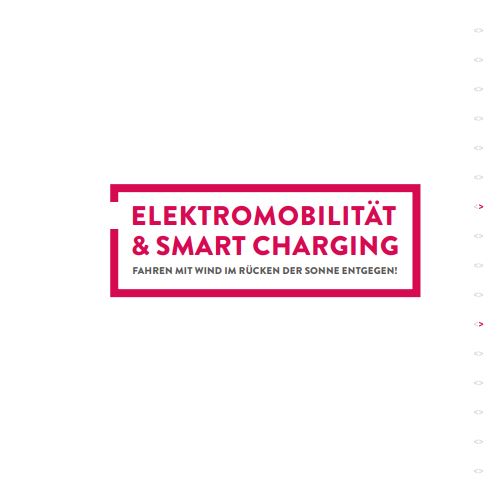 Smart Charging auf Deutsch